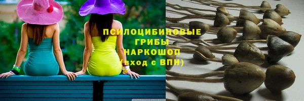 мдпв Медногорск