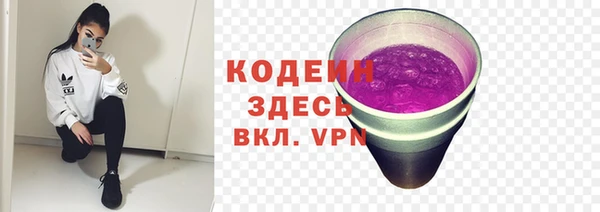 прущие крисы Медвежьегорск
