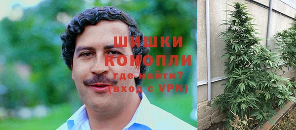 PSILOCYBIN Мегион