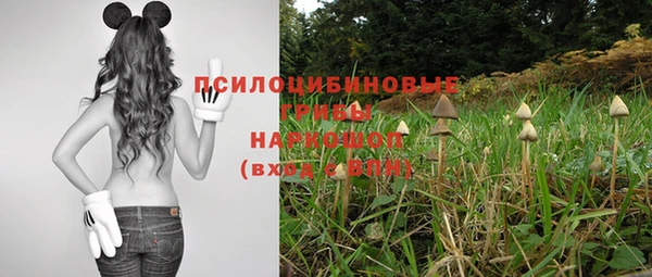 PSILOCYBIN Мегион