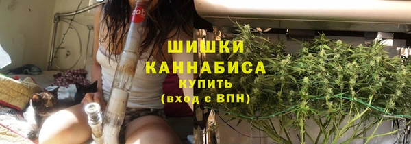 мдпв Медногорск