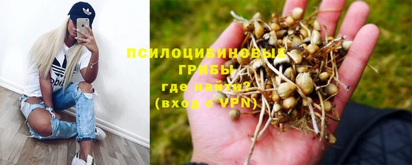 прущие крисы Медвежьегорск