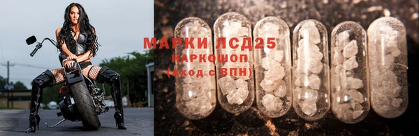 прущие крисы Медвежьегорск