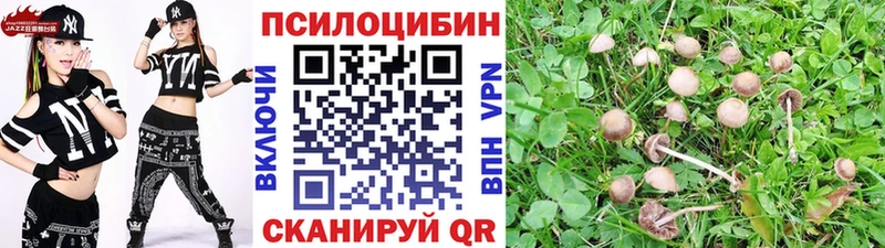 Галлюциногенные грибы GOLDEN TEACHER  Купить где  Фрязино 
